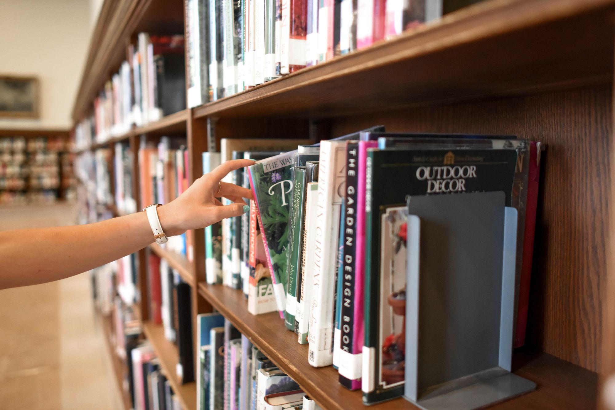 Bookcase with books