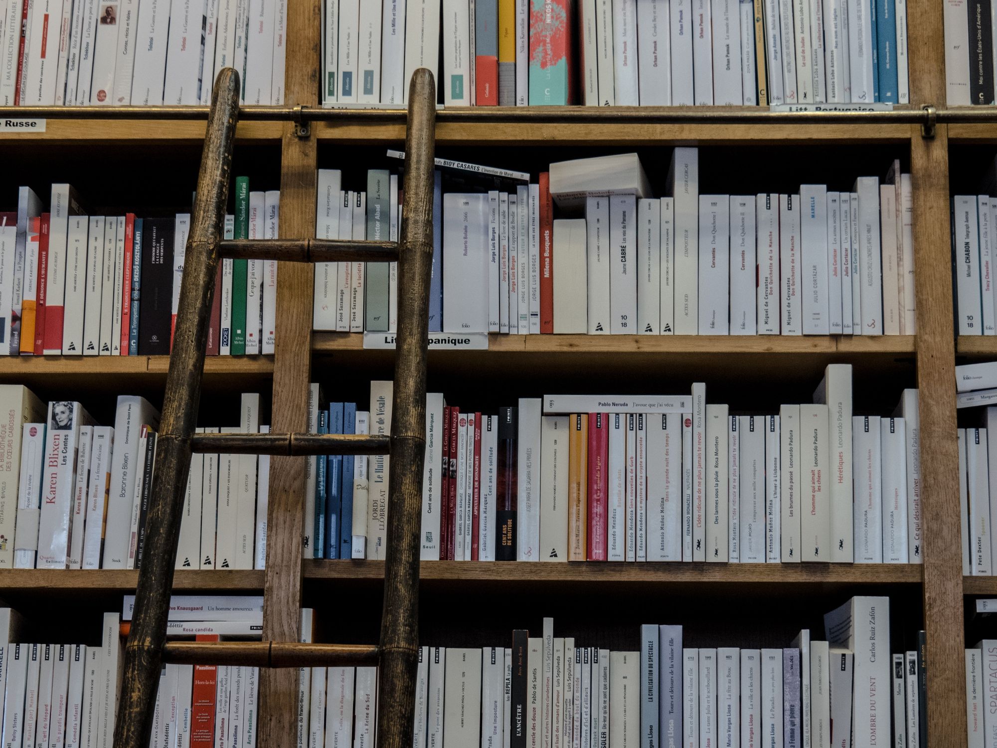 A ladder on a bookcase with books