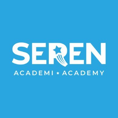 Seren Mentoring Programme Logo